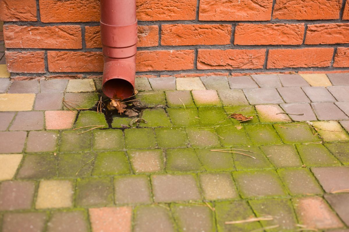 Revamping your driveway. The simple home remedy to banish green deposits