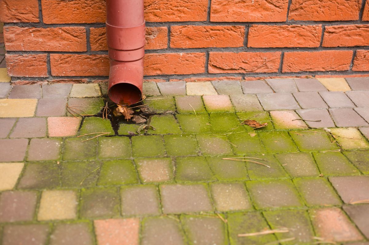 Yes, I clean the green paving stone.