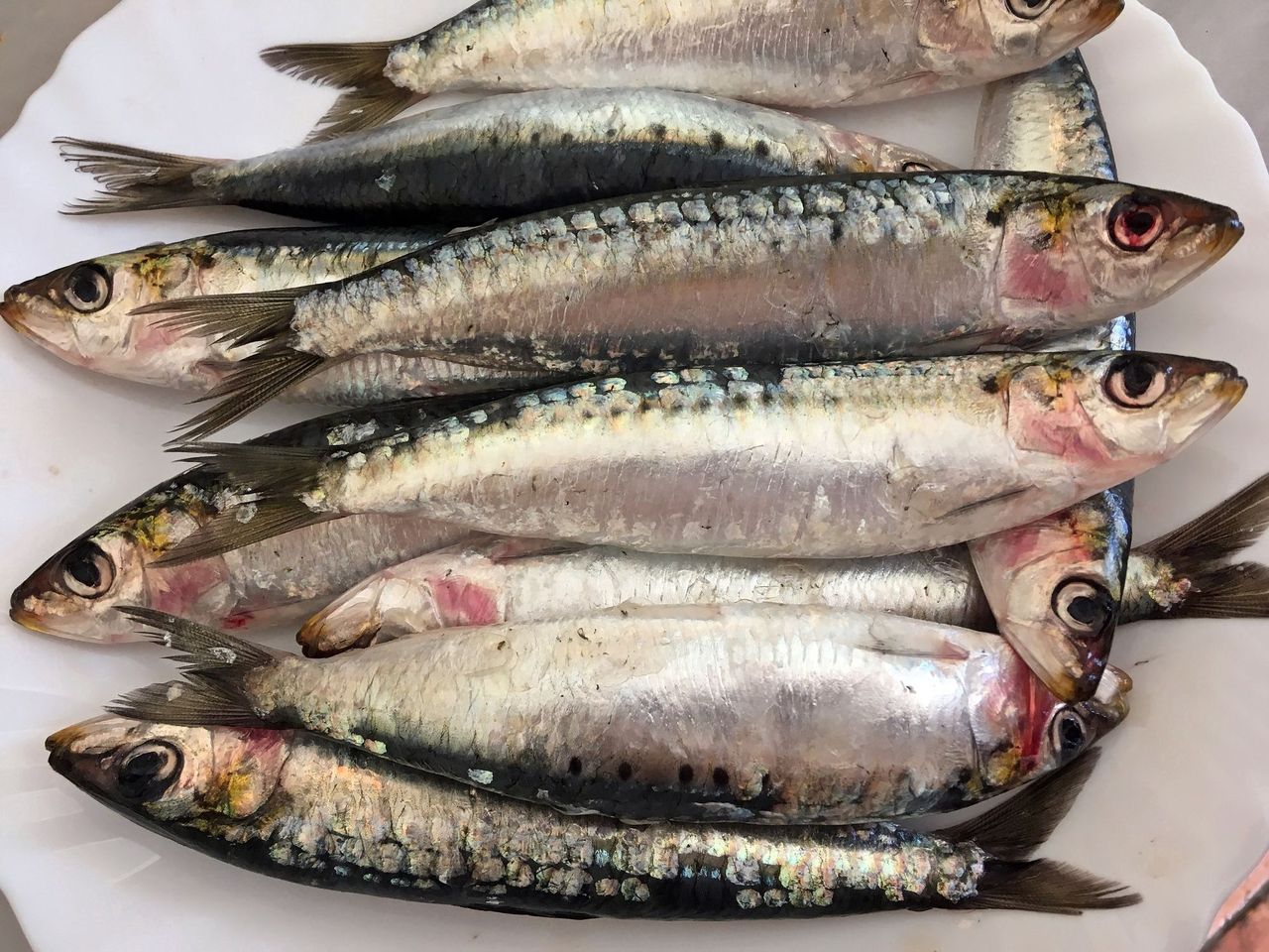 Jedna z najzdrowszych ryb. Jedz dwa razy w tygodniu