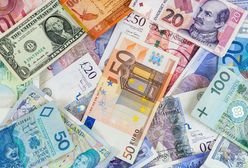 Euro, dolar i frank będą drożeć? Złoty złapał zadyszkę