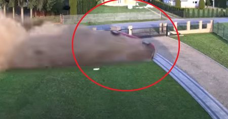 Przeleciał nad ogrodzeniem. Nagranie jest hitem sieci