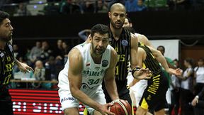 Stelmet Zielona Góra - Aris Saloniki 72:80 (galeria)