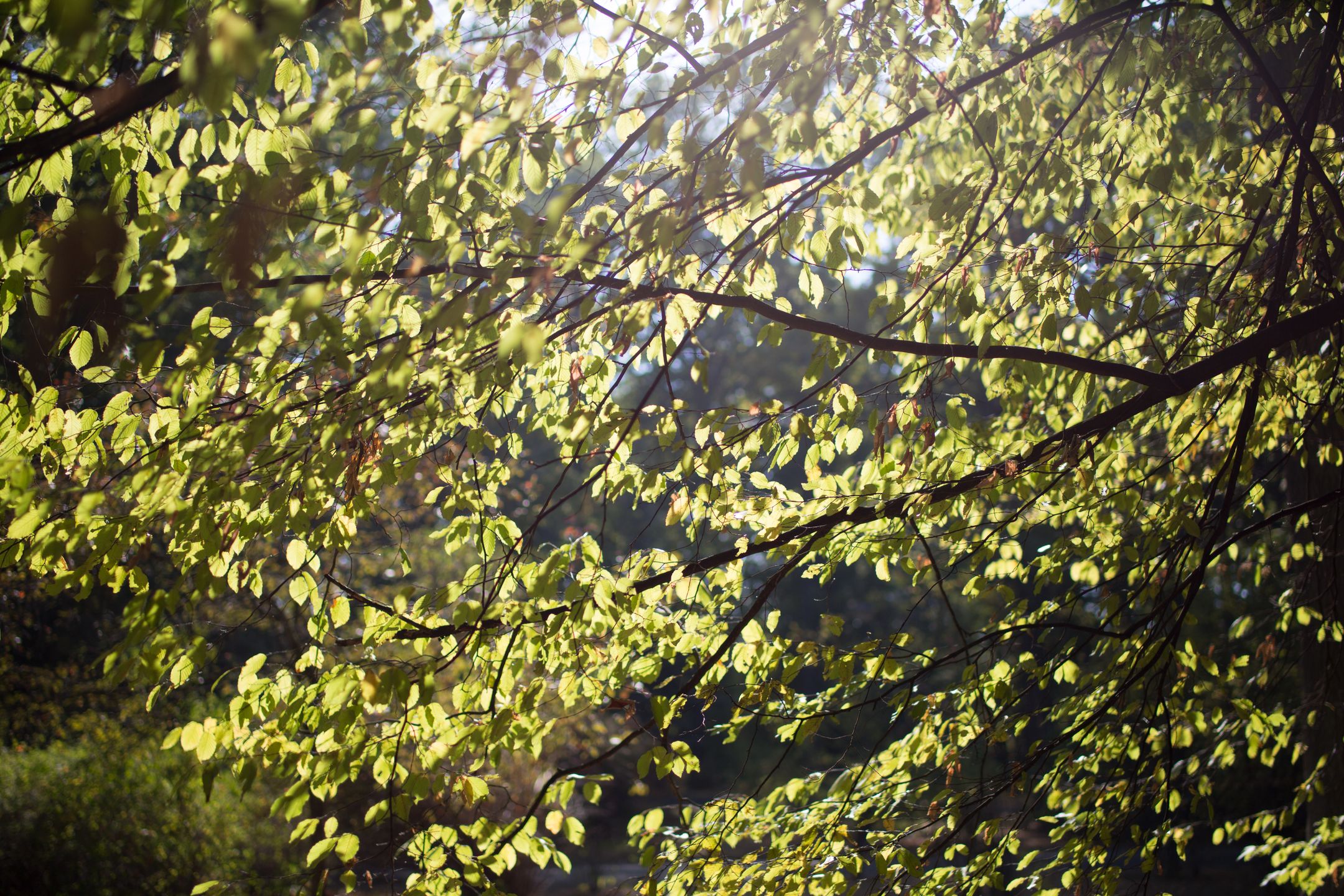 Tamron SP 45 mm f/1.8 Di VC USD - jasna, stabilizowana portretówka premium [recenzja] 66