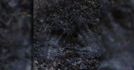 „Pamięć ziemi” – wystawa, która zmienia spojrzenie na kobiecość i wiek!