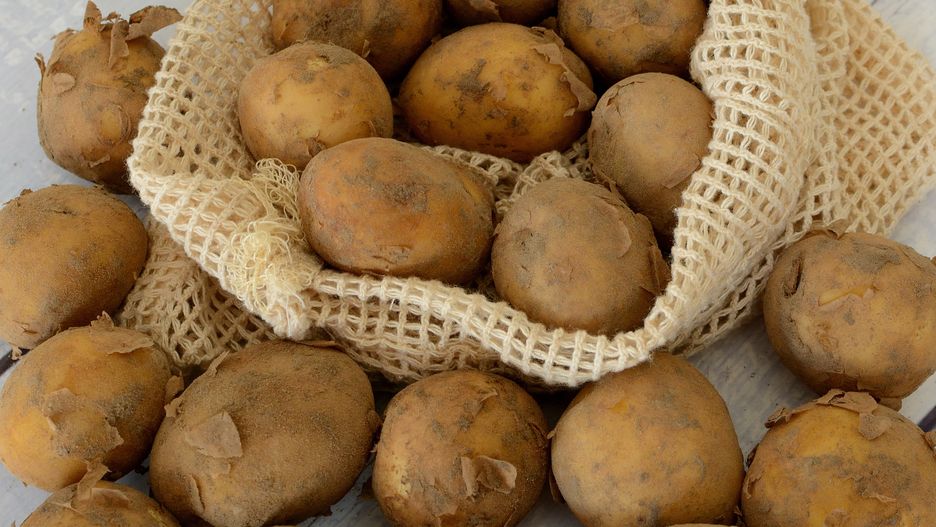 Ziemniaki wbrew powszechnym mitom nie są niezdrowe i tuczące