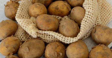 Polacy z pokolenia na pokolenie przekazują sobie ten mit o ziemniakach. Czas go obalić