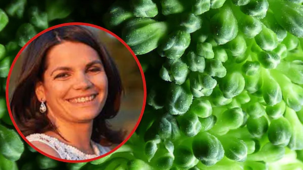 Lekarka zajadała się brokułami, cebulą i czosnkiem