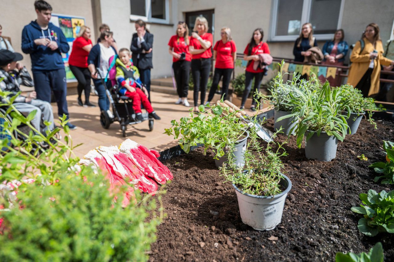 W Lublinie powstał pierwszy ogród społeczny. To wspólna przestrzeń do której każdy może wnieść swój wkład