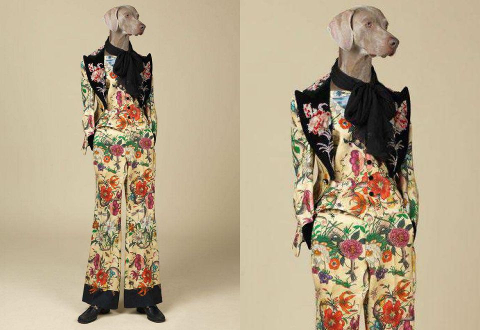 Obraz