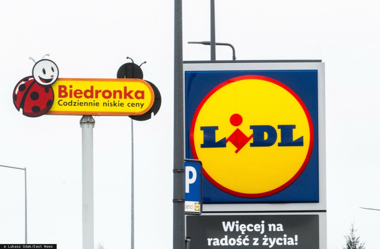 Bardzo tanie jaja w dyskontach. Ekspert tłumaczy, ile powinny kosztować