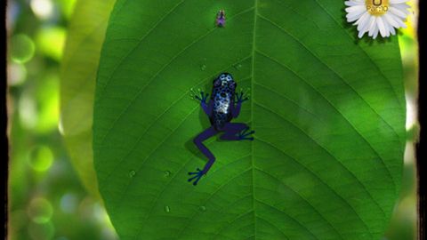 Ancient Frog za darmo! [wideo] 1