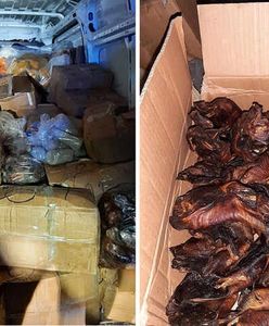 Niemiecka policja skonfiskowała smażone nietoperze