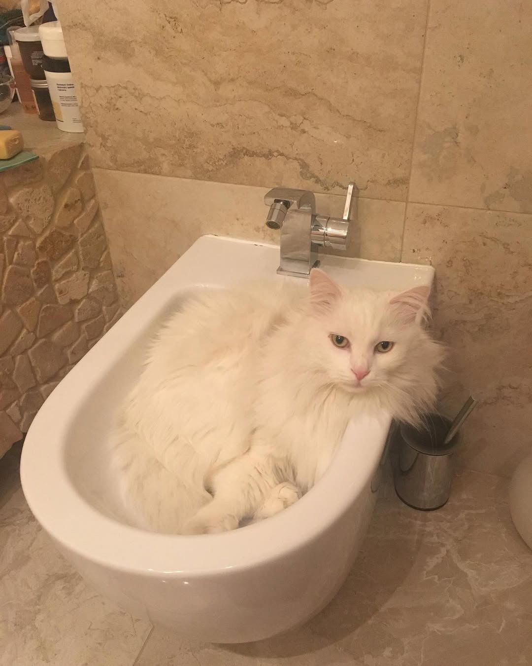 Bidet u Małgorzaty Foremniak