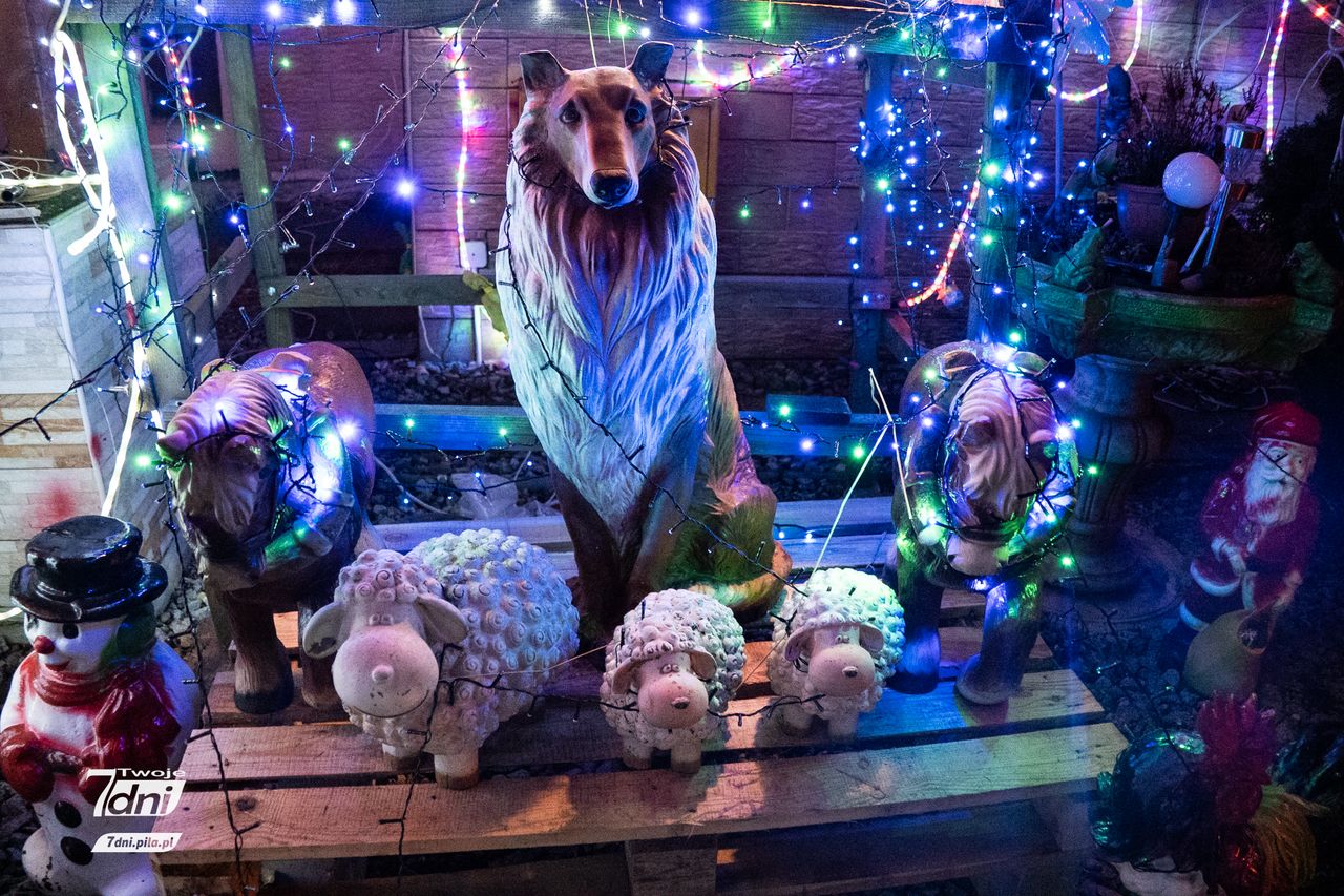 Świąteczne iluminacje
