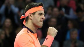 ATP przyznało nagrody za sezon 2016. Del Potro, Federer, Pouille i Fritz wśród wyróżnionych