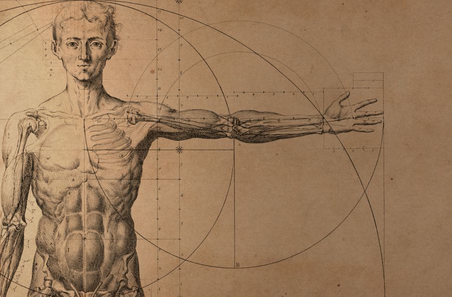 Amazing Facts about the Human Body You Have Never Suspected 