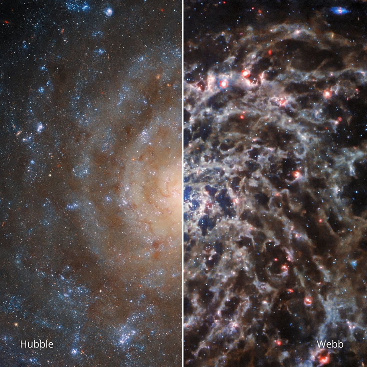 Galaktyka IC 5332 sfotografowana przez teleskopy Hubble'a (po lewej) i Webba (po prawej).