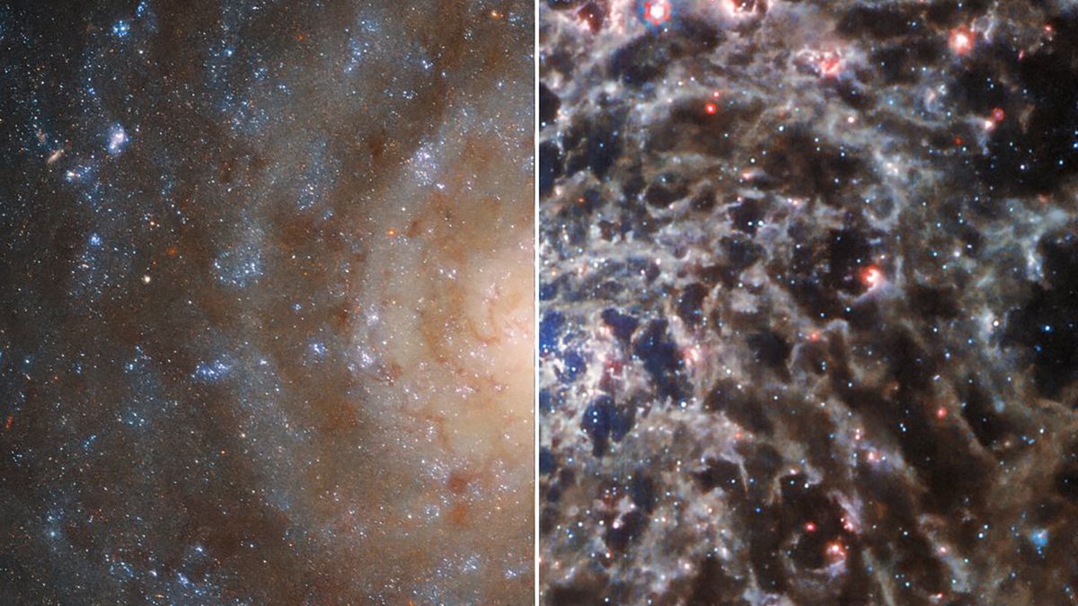 Galaktyka IC 5332 sfotografowana przez teleskopy Hubble'a (po lewej) i Webba (po prawej).