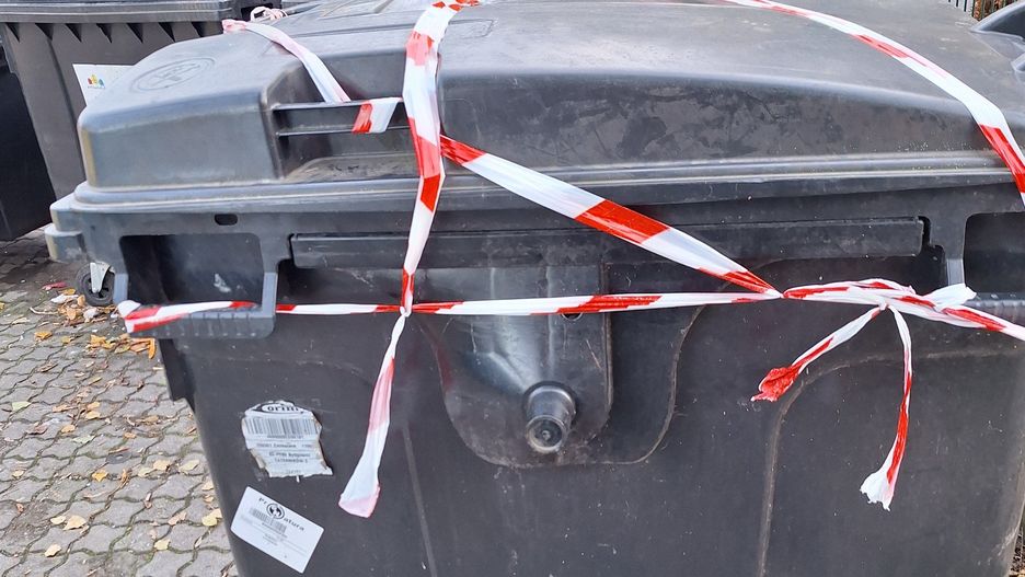 Martwa sarna w śmietniku w Fordonie