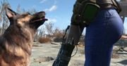 Wszystkie psy idą do nieba. Pierwowzór Dogmeata z Fallouta 4 nie żyje