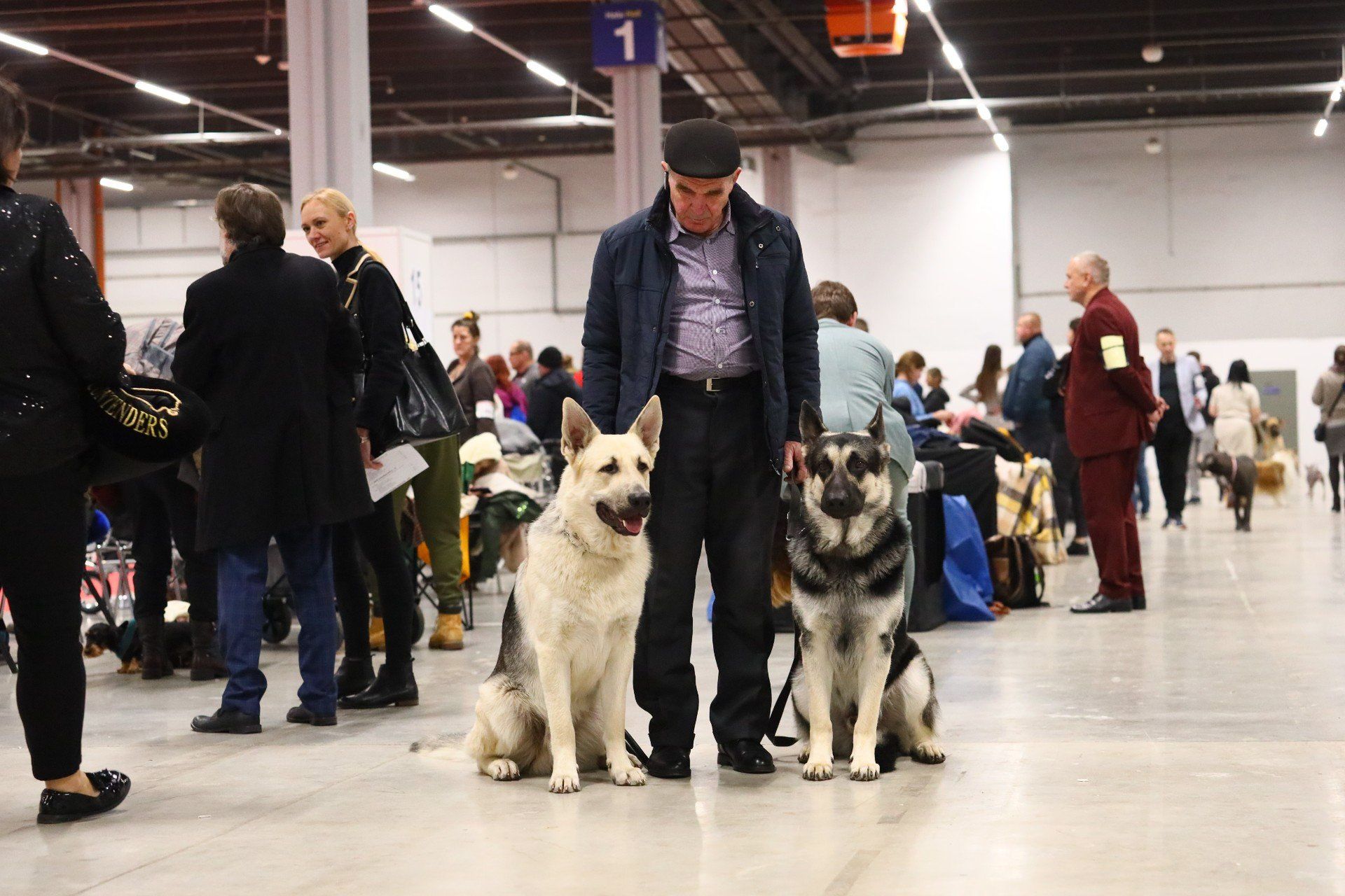Można było zobaczyć psy rzadszych ras, między innymi Owczarka Wschodnioeuropejskiego