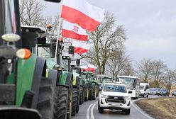 Największe rolnicze korporacje z Ukrainy. "Tutaj trzeba ostrzegać"