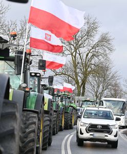 Największe rolnicze korporacje z Ukrainy. "Tutaj trzeba ostrzegać"