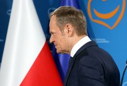 PiS znów nie ma z kim przegrać? "Tusk w trudnej sytuacji"
