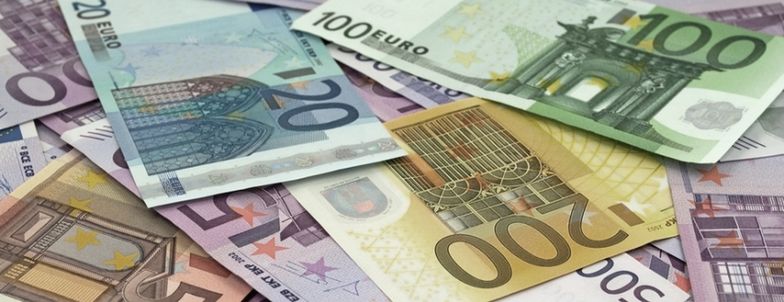 Europosłowie komisji budżetowej oraz gospodarczej za budżetem strefy euro