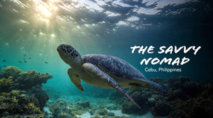 The Savvy Nomad Philippines