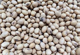 Chroni przed nowotworem, reguluje hormony. Jedz codziennie