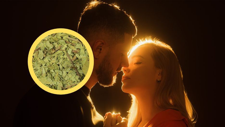 Lubczyk wspomoże starania o dziecko. Koniecznie włącz do diety