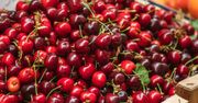 Zalewają nas importowane czereśnie słabej jakości. Sadownicy załamani