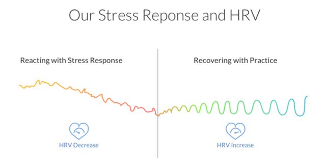 Niski wynik HRV w sytuacji silnego stresu, a następnie skutek zastosowania się do rytmu urządzenia Lief.