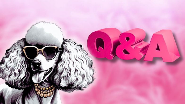 Czas na ploteczki, ale to Wy zadajecie pytania! Weźcie udział w Pudelek Q&A