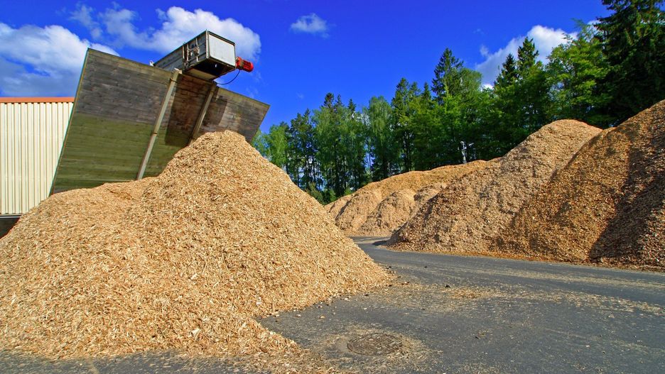 Bumech rozpocznie produkcję biomasy