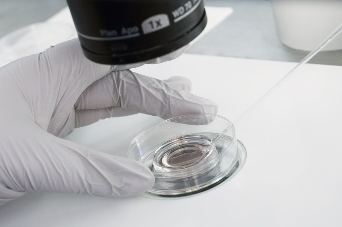 Lekarze twierdzą, że przed przystąpieniem do in vitro, kobieta była zdrowa