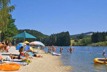 Agresywny sum zaatakował plażowiczów w Bawarii. Pięć osób rannych