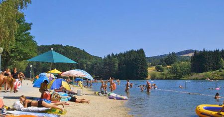 Agresywny sum zaatakował plażowiczów w Bawarii. Pięć osób rannych