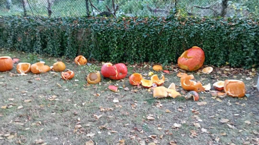 W Czechach ksiądz proboszcz zniszczył dzieciom dyniowe lampiony