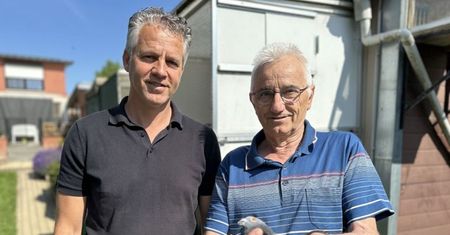 400 tys. euro za gołębia. Trzeci najwyższy wynik w historii