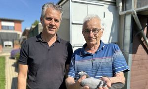 400 tys. euro za gołębia. Trzeci najwyższy wynik w historii