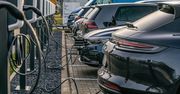 Coraz więcej ładowarek do samochodów elektrycznych. "To dzieje się naprawdę szybko"