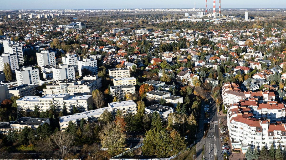 "Zatoka czerwonych świń" to bloki w lewej części kadru