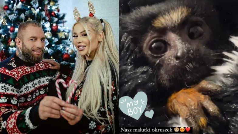 Ewel0na i jej narzeczony sprezentowali sobie małpkę