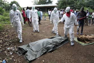 Wirus Eboli pochłąnął już 7,8 tys. żyć, liczba zarażonych przekroczyła 20 tysięcy
