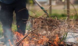 Przyłapani zapłacą nawet 5000 zł. Przepisy są jednoznaczne