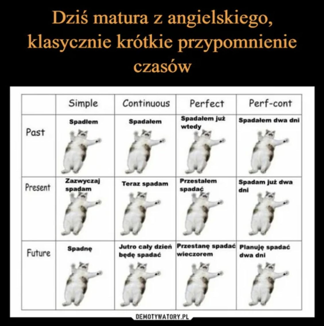 Memy matura 2025 z języka angielskiego