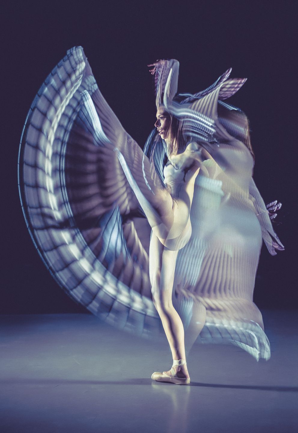 14. Smithsonian Annual Photo Contest zachwyca świetnymi zdjęciami zwycięzców 9