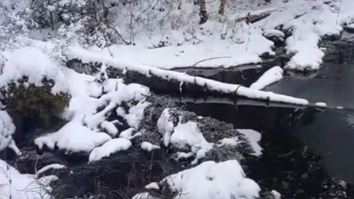 Efekt pracy bobra znad Morskiego Oka 